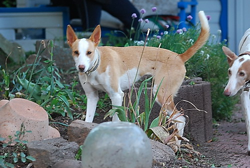 DSC_0021.jpg