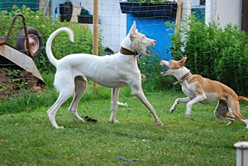DSC_0023.jpg