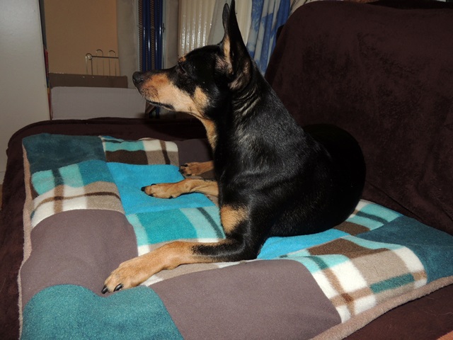 DSCN6607.JPG