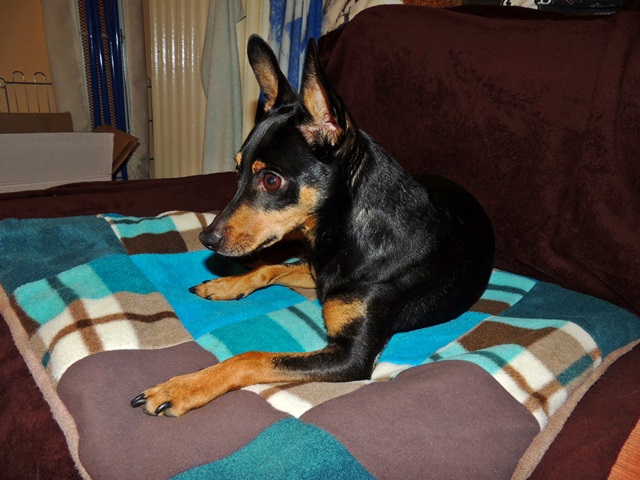 DSCN6608.JPG