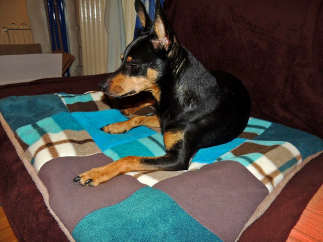 DSCN6609.JPG