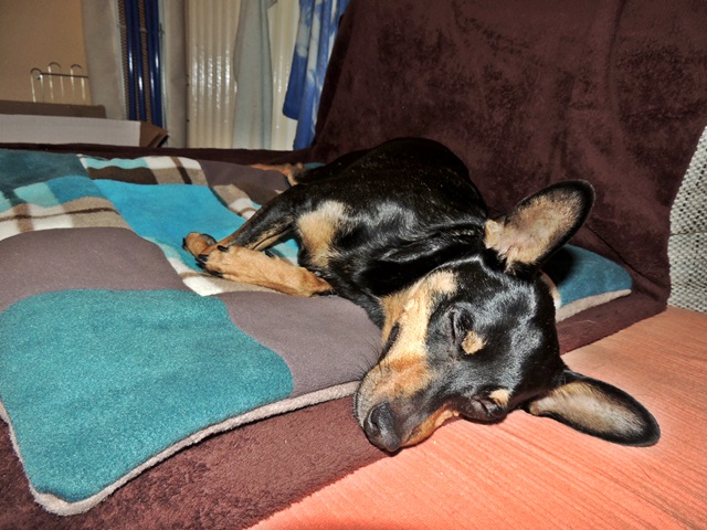 DSCN6612.JPG