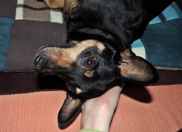 DSCN6613.JPG