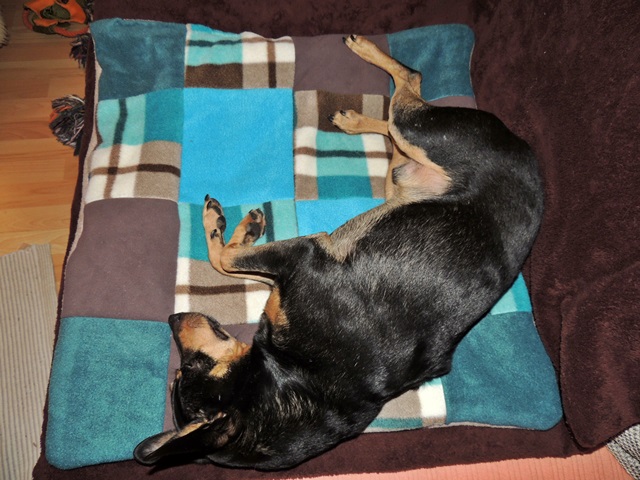 DSCN6616.JPG