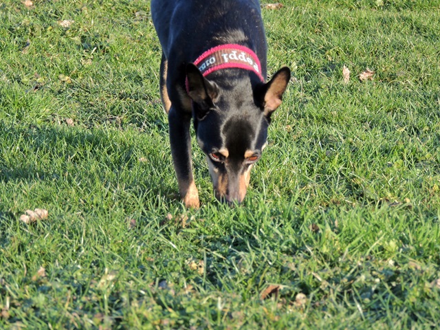 DSCN6618.JPG