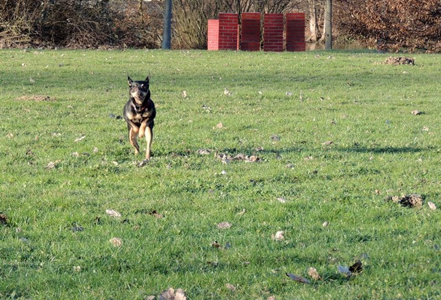 DSCN6646.JPG