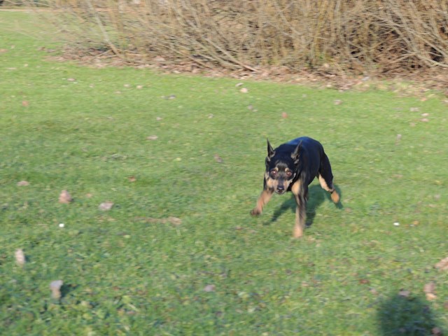 DSCN6647.JPG
