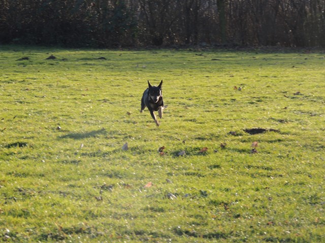 DSCN6650.JPG