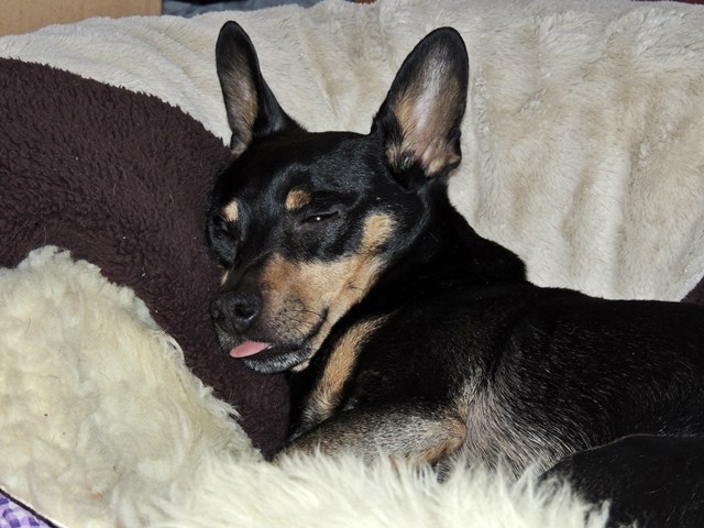 DSCN6660.JPG
