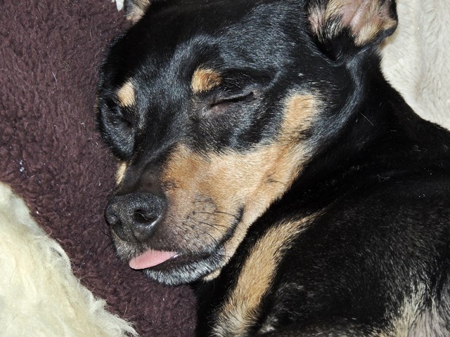 DSCN6661.JPG