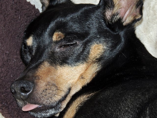 DSCN6664.JPG