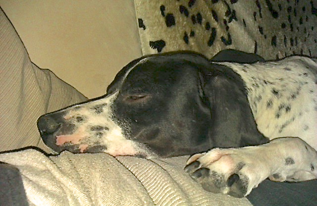 IMAG0968.jpg