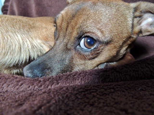 DSCN6673.JPG