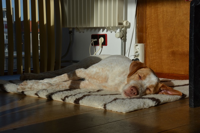 DSC_0366.jpg