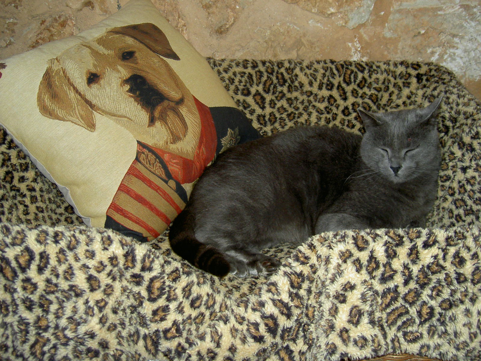 PICT6112.JPG