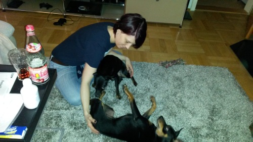 2014-02-02 16.57.14.jpg