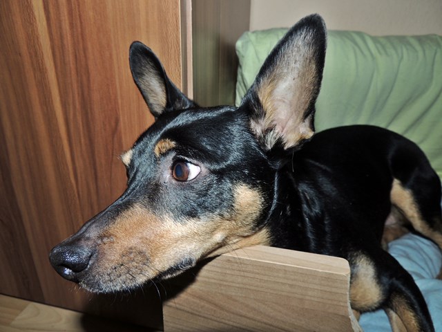 DSCN6851.JPG