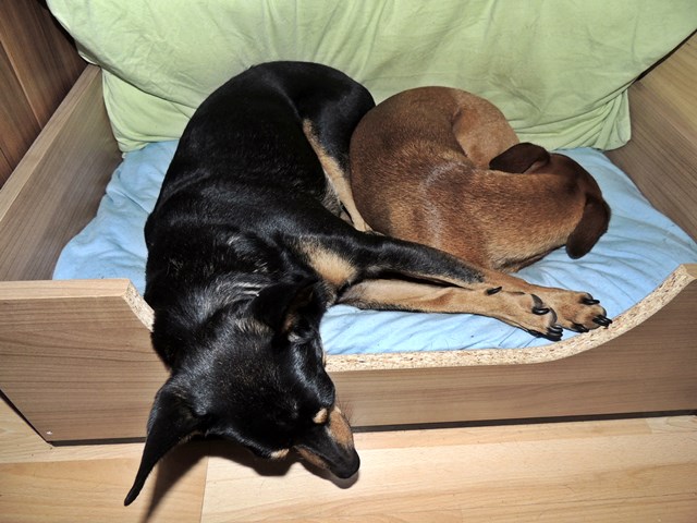 DSCN6826.JPG