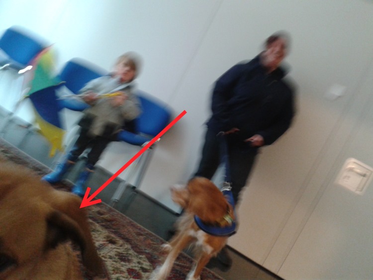 20131106_135629.jpg