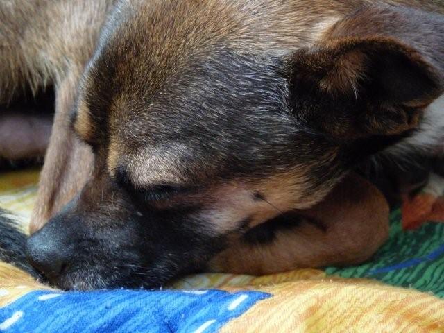 P1050040 (2).jpg