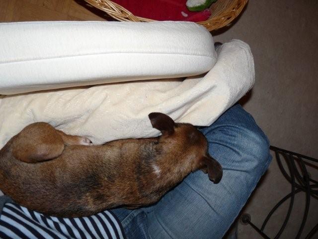 P1050049 (2).jpg