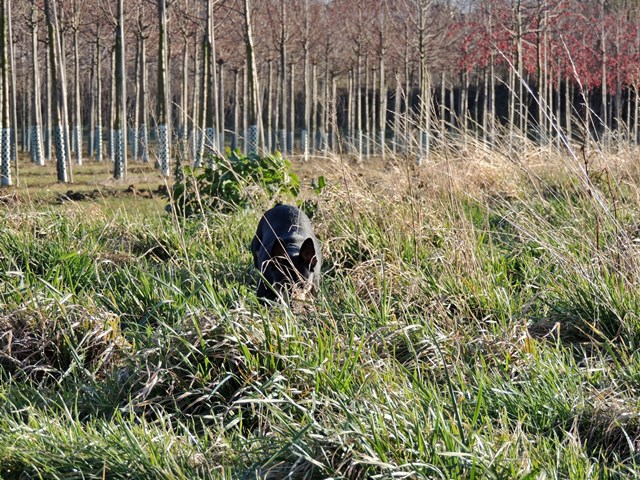 DSCN6860.JPG