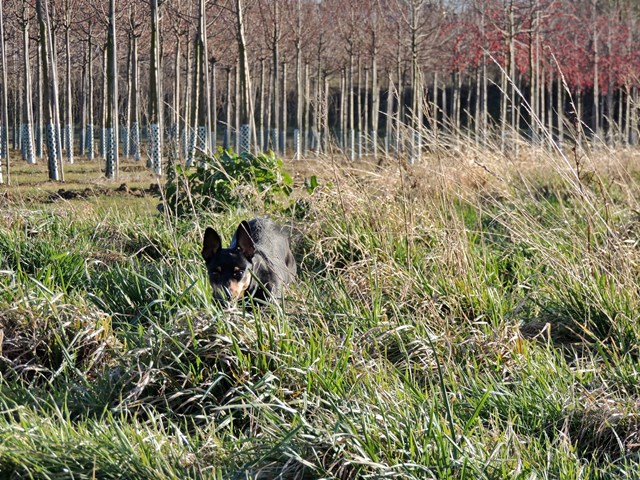 DSCN6863.JPG