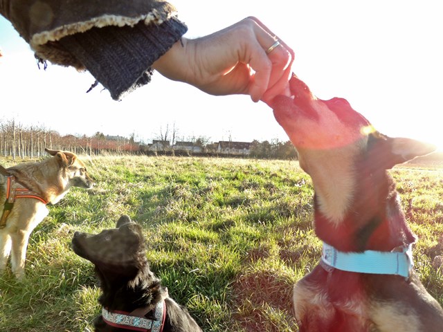 DSCN6876.JPG