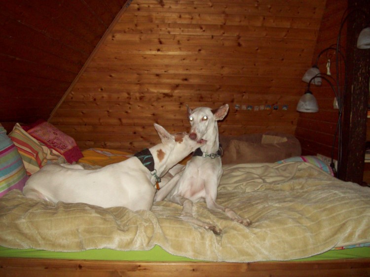 Tap und Quini spielen 001 20.2. klein.jpg