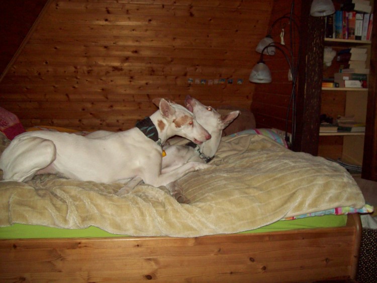 Tap und Quini spielen 004 verkleinert.jpg