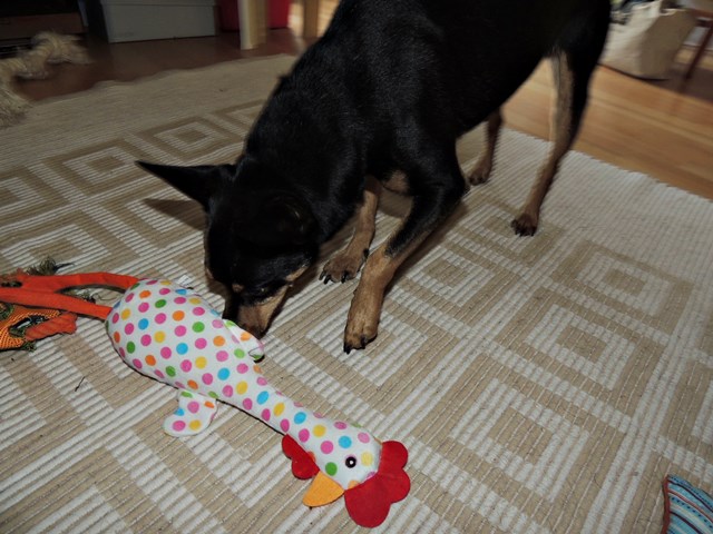 DSCN6931.JPG