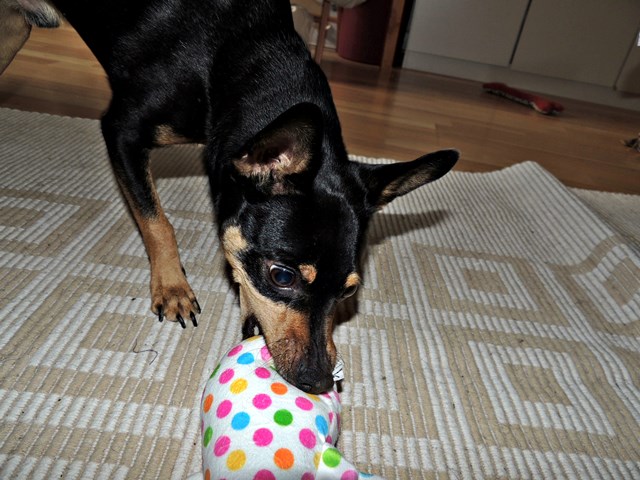 DSCN6959.JPG