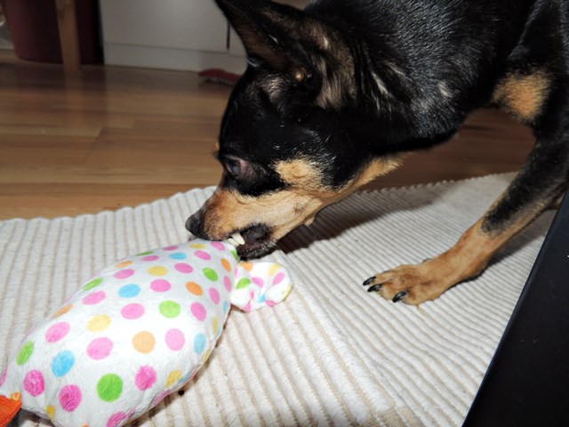 DSCN6965.JPG
