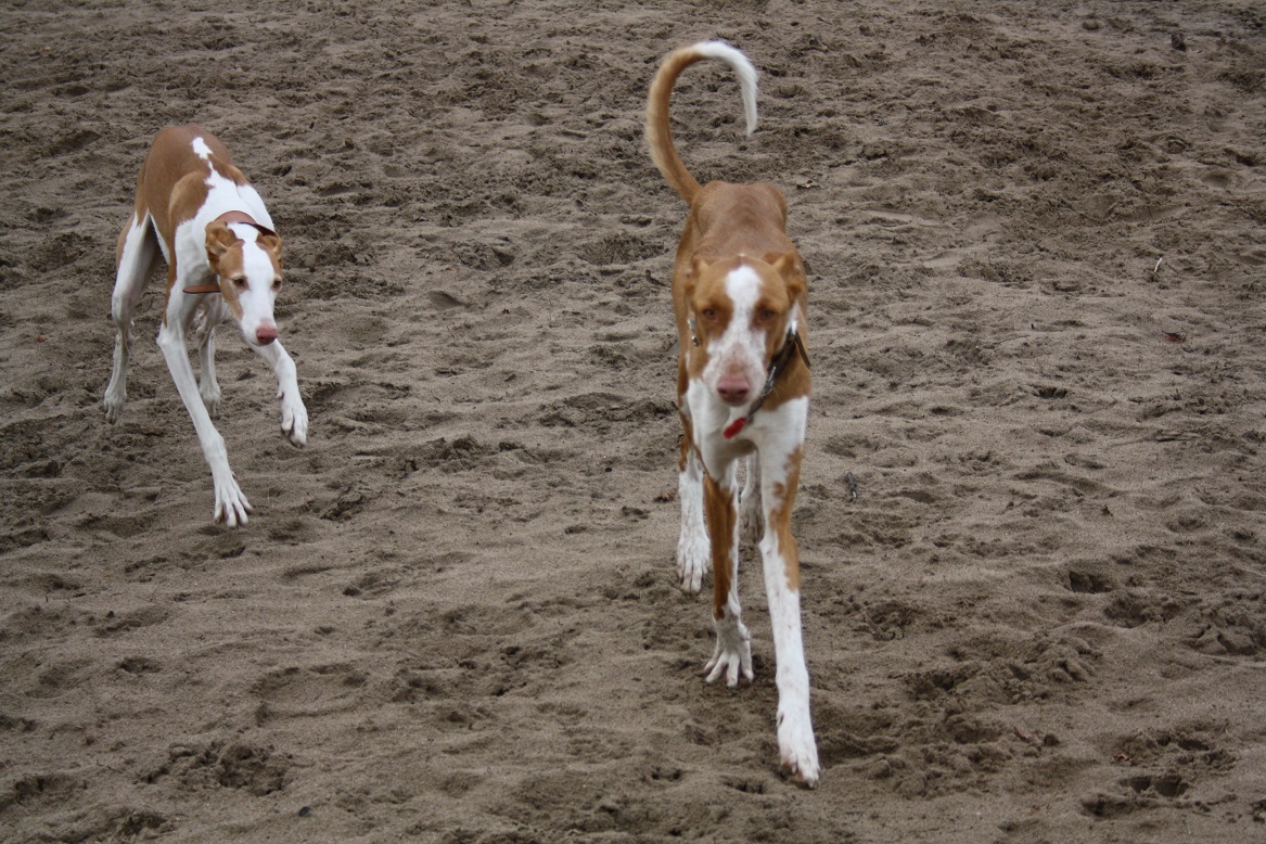 IMG_5731-Saartje, Boris.jpg