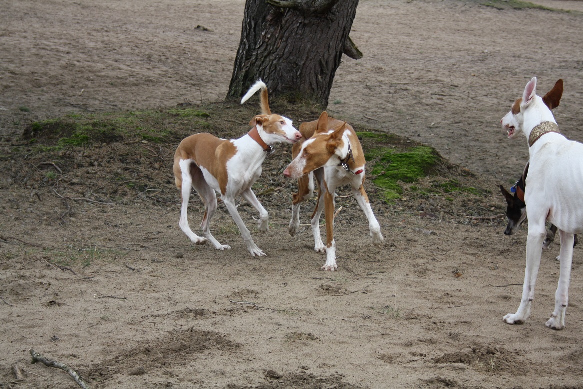 IMG_5745-Saartje, Boris.jpg