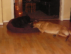 P1060002(1).JPG