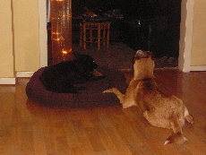 P1060003(1).JPG