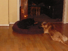 P1060004(1).JPG
