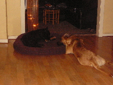 P1060005(1).JPG