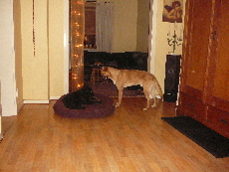 P1060006(1)(1).JPG