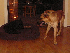 P1060007(1).JPG