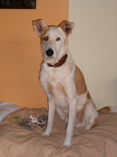 Rocky 002.JPG