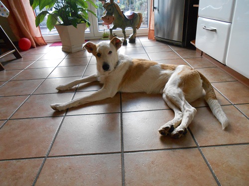 Rocky 005.JPG