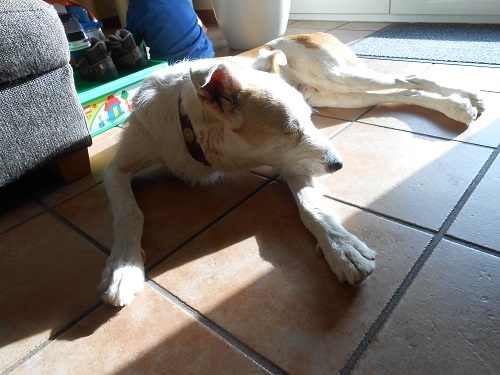 Rocky 010.JPG