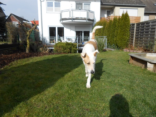 Rocky 021.JPG