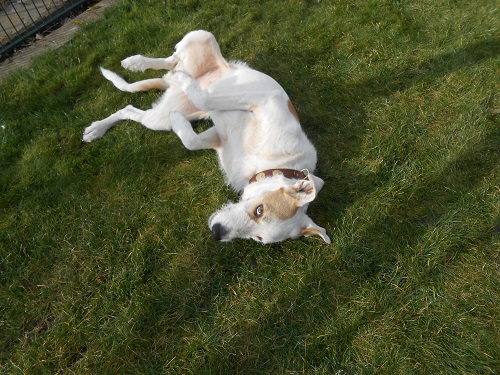 Rocky 054.JPG