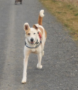 Rocky 012.JPG