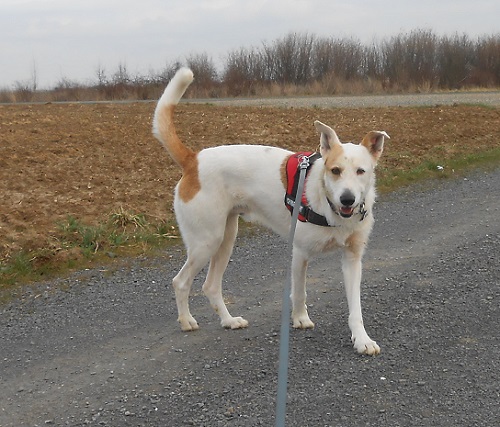 Rocky 016.JPG