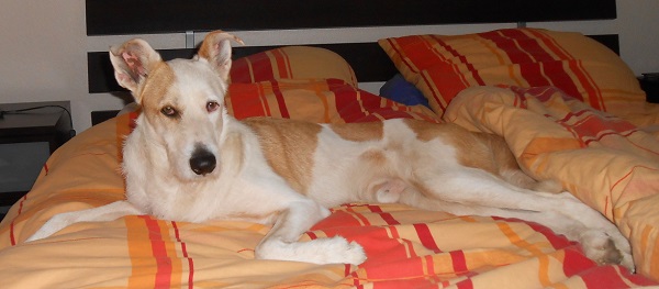 Rocky 018.JPG