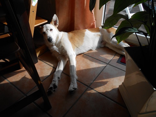 Rocky 022.JPG